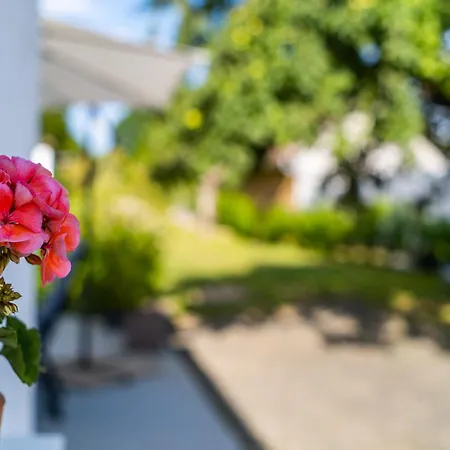 Margit Ház * Nemesbükk